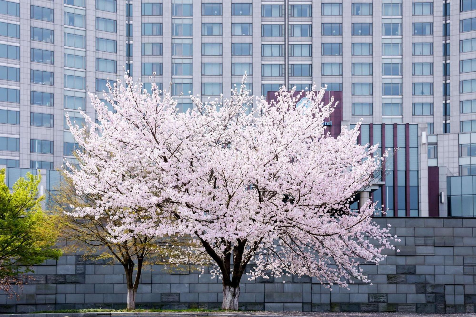 Kempinski Hotel Suzhou Suzhou  Buitenkant foto